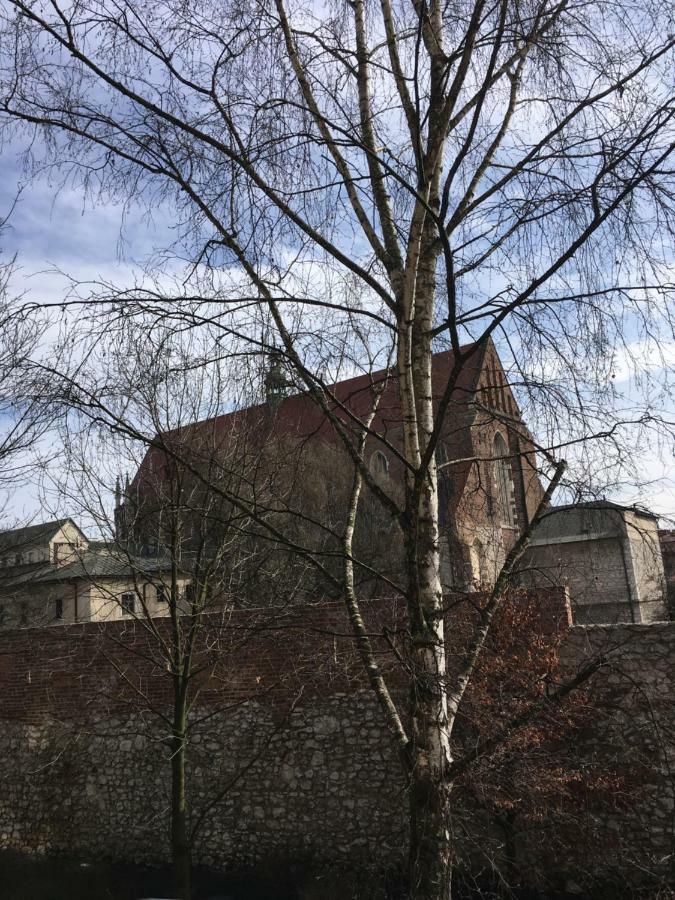 Apartament Paulove Kraków Eksteriør billede